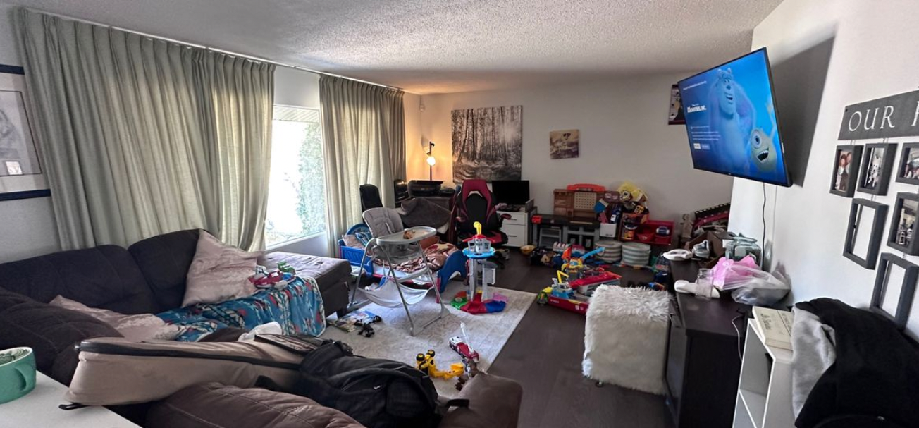 Cluttered family living room before LH Cleaning